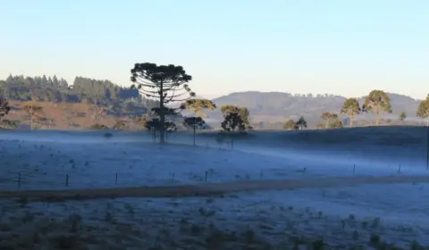 Frente fria chega com temperaturas negativas e geadas