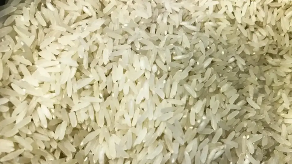 Governo convoca CGU, AGU e Receita para nova compra internacional de arroz