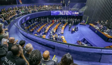 Senado aprova reajustes para segurança pública e outras categorias federais