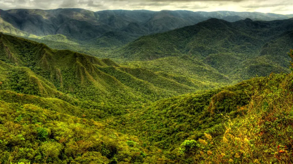 Alvo da Vale, Serra do Gandarela corre risco de destruição em Minas Gerais