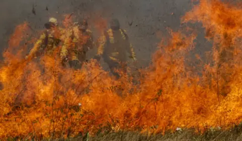 Incêndios em 30 áreas do Pantanal foram provocados por ação humana