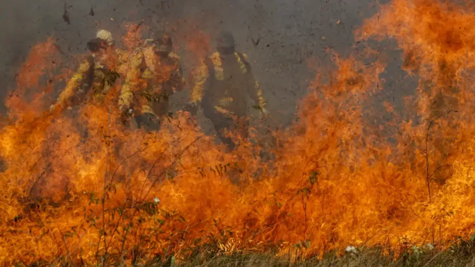 Pantanal acumula em 12 meses mais de 9 mil focos de incêndio