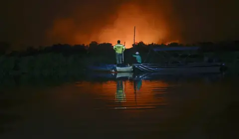 O desserviço bolsonarista na retórica da pauta ambiental