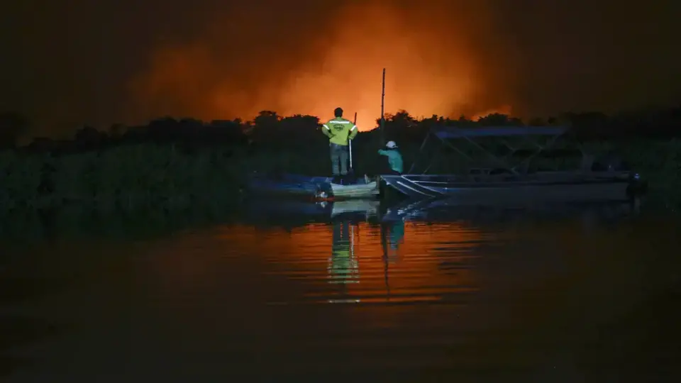 O desserviço bolsonarista na retórica da pauta ambiental