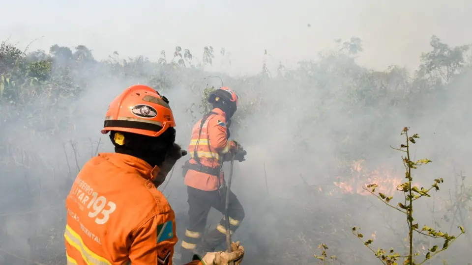 Falta de aviões atrasa combate ao fogo no Pantanal