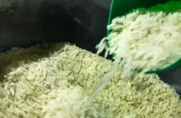 Leilão da Conab arremata 263 mil toneladas de arroz após tribunal derrubar liminar