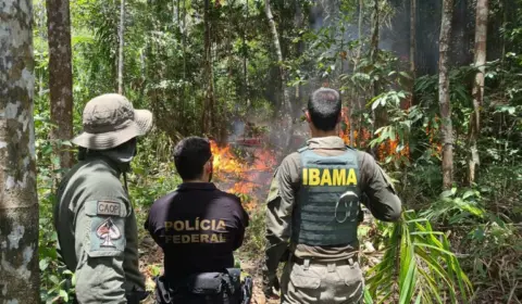 Servidores ambientais iniciam greve em 5 estados com exceções para fogo e desastres