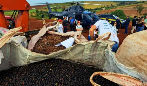 Helicóptero, viveiros e mutirões: como o MST pretende plantar 100 milhões de árvores até 2030