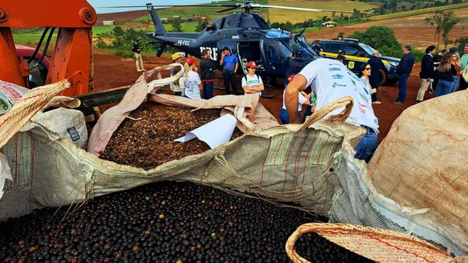 Helicóptero, viveiros e mutirões: como o MST pretende plantar 100 milhões de árvores até 2030