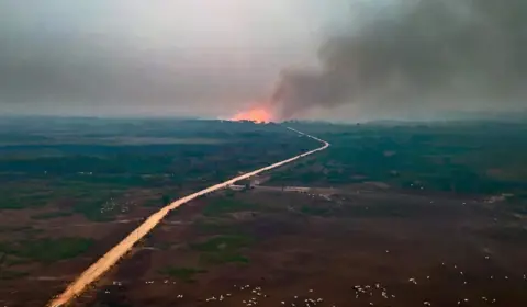 Pantanal secou 61% antes das queimadas que destroem o bioma, revela pesquisa