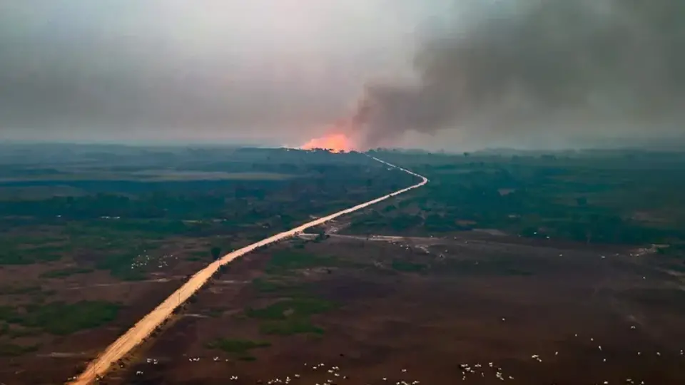 Pantanal secou 61% antes das queimadas que destroem o bioma, revela pesquisa