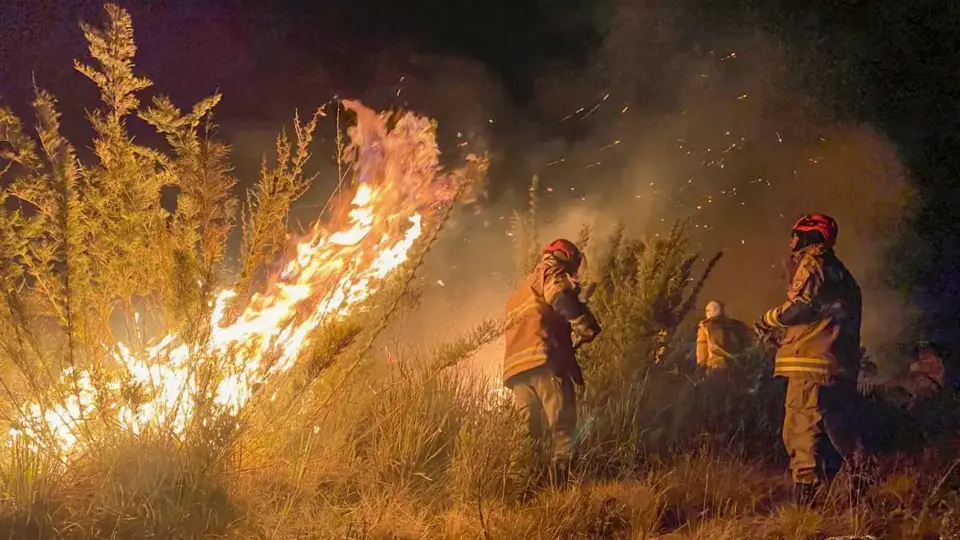 Ministério Público Federal investiga incêndio no Parque Nacional do Itatiaia