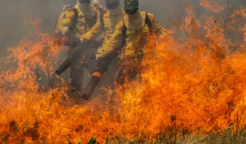 Incêndios no Pantanal: MS decreta estado de emergência