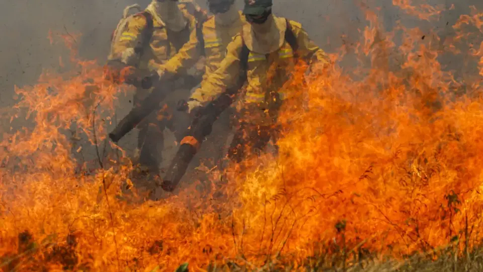 Incêndios no Pantanal: MS decreta estado de emergência