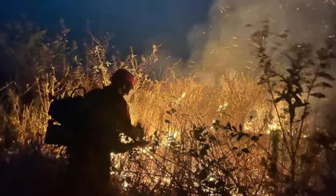 Incêndios a partir de 20 focos queimaram 292 mil hectares do pantanal, diz MP-MS