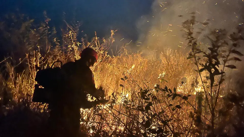 Incêndios a partir de 20 focos queimaram 292 mil hectares do pantanal, diz MP-MS