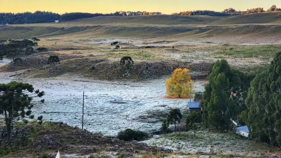 São Joaquim (SC) tem recorde de frio no ano, com -7,8° C, e sensação térmica chega a -19°C