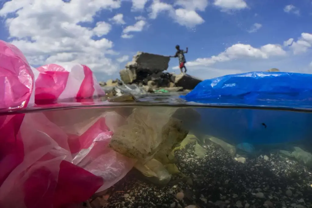 80% da poluição dos oceanos é composta de plásticos, que levam entre 500 e 1000 anos para se decompor . Crédito: Randy Olson/ National Geographic