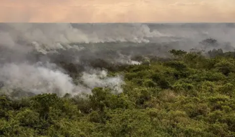 Pantanal poderá ter crise hídrica histórica em 2024, aponta estudo