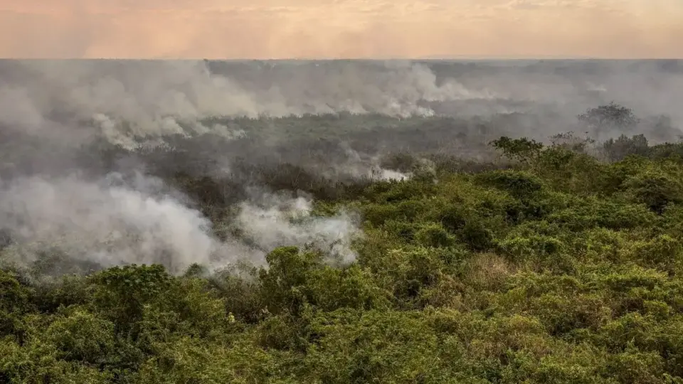 Pantanal poderá ter crise hídrica histórica em 2024, aponta estudo