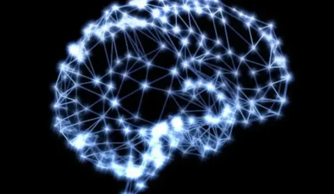 Cientistas identificam idade em que o cérebro começa a envelhecer mais rápido