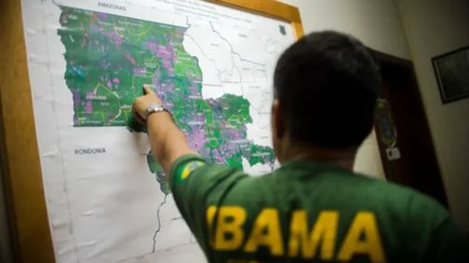 Ministério da Gestão autoriza concursos com 810 vagas para Ibama e ICMBio