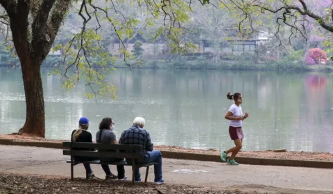 Sul tem previsão de geada; Centro-Oeste pode ter máxima de quase 40 °C; veja a previsão