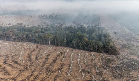 Queimadas aumentam em Rondônia e afetam saúde e transporte aéreo