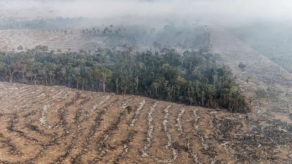 Queimadas aumentam em Rondônia e afetam saúde e transporte aéreo