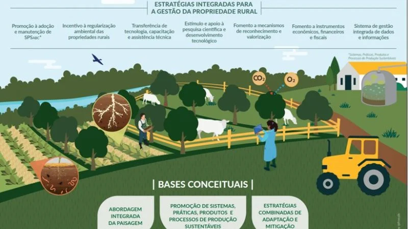 A agricultura de baixo carbono combina diversos cultivos para mitigar o impacto ambiental e otimizar a saúde do solo. Crédito: Freepik
