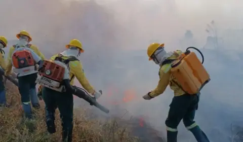 Julho de 2024 bate recorde histórico de focos de incêndio no Amazonas, aponta Inpe