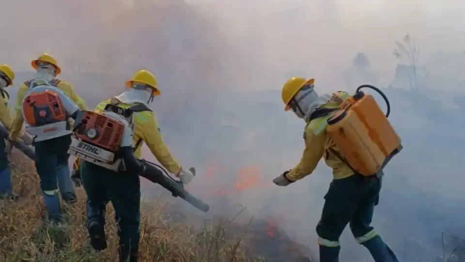 Julho de 2024 bate recorde histórico de focos de incêndio no Amazonas, aponta Inpe