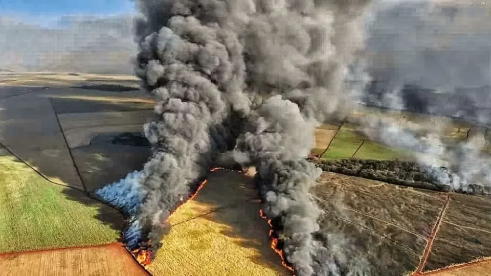 PF abre 31 inquéritos sobre incêndios criminosos em SP, Pantanal e Amazônia