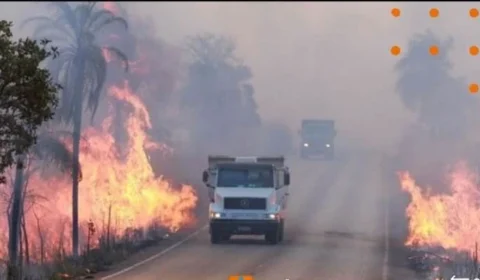 SP: 30 cidades estão em alerta contra queimadas e governo cria gabinete de crise