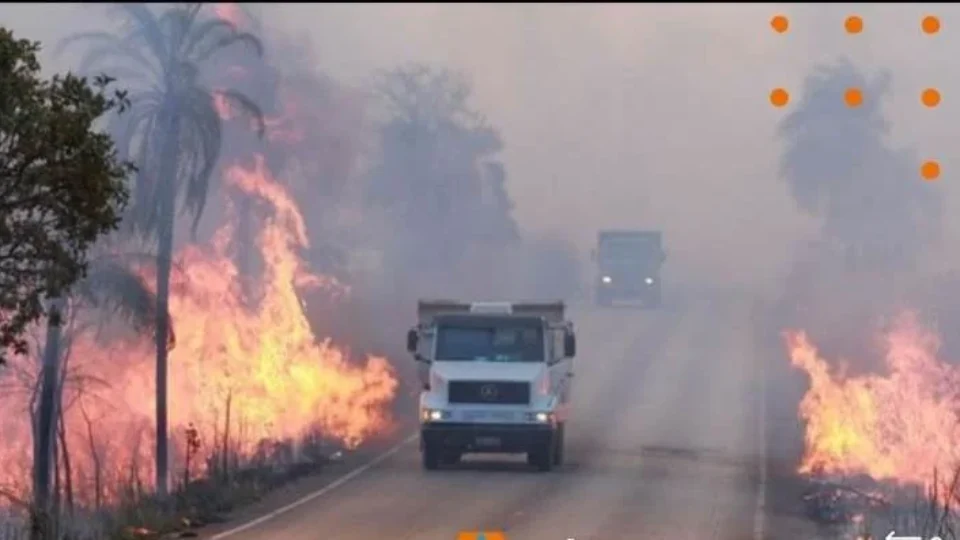 SP: 30 cidades estão em alerta contra queimadas e governo cria gabinete de crise