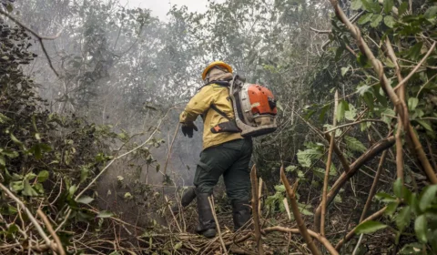 Dino determina mobilização para combater incêndios no Pantanal e na Amazônia