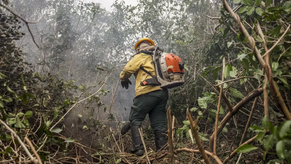 Dino determina mobilização para combater incêndios no Pantanal e na Amazônia