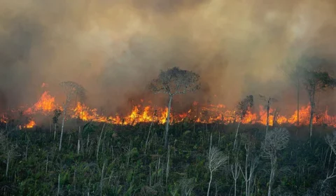 Era do fogo: o piroceno pode ameaçar a espécie humana