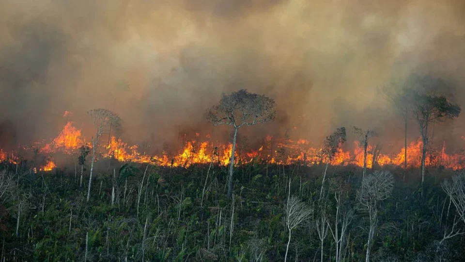 Era do fogo: o piroceno pode ameaçar a espécie humana