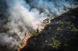 Fumaça de queimadas no Pantanal e Amazônia atinge cidades do Sul e Sudeste