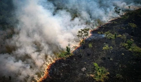 Fumaça de queimadas no Pantanal e Amazônia atinge cidades do Sul e Sudeste