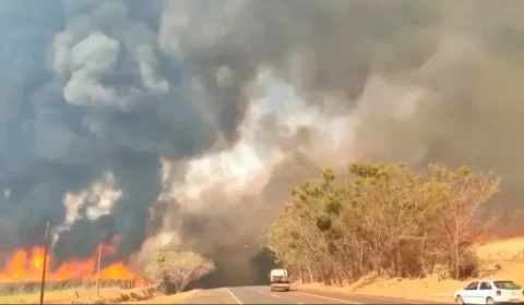 Incêndios em SP começaram simultaneamente e 80% em áreas de agropecuária, diz Ipam