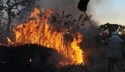 Brasil já registrou mais de 154 mil focos de calor este ano