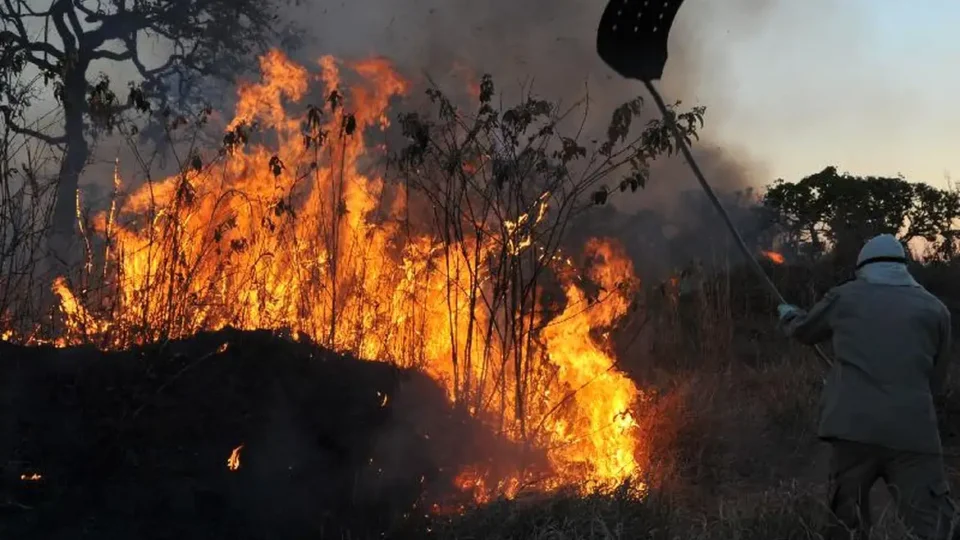 Agro e cidades do interior de SP consideram que incêndios vão ser recorrentes e preparam ações