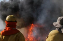 Bolívia pede ajuda ao Brasil para combater incêndios florestais