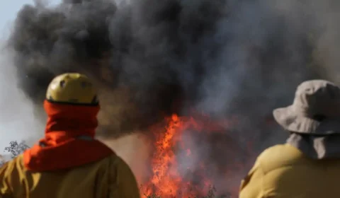 Bolívia pede ajuda ao Brasil para combater incêndios florestais