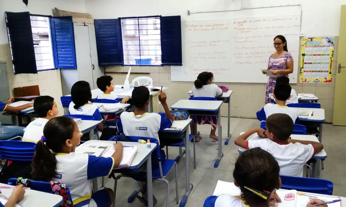 Professores brasileiros