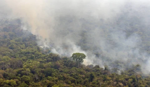 Ministério da Justiça prorroga permanência da Força Nacional no Amazonas