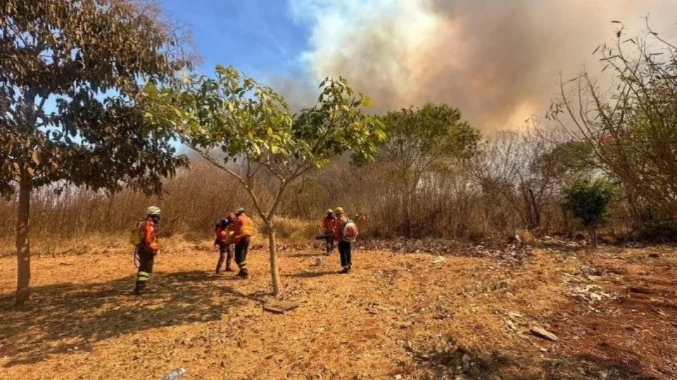 Ibama relata dificuldade para obter apoio de outros países no combate a incêndios