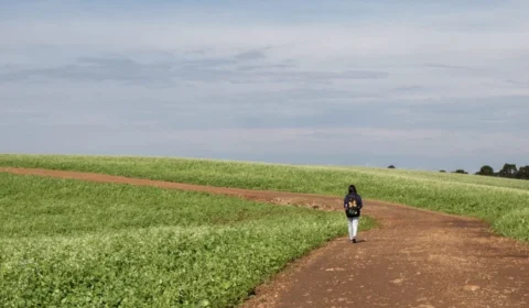 Os filhos doentes da agricultura brasileira